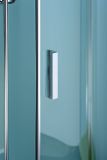 POLYSAN ZOOM LINE 100cm dvere do niky alebo do kombinácie / sprchový kút rohový, profil hliník lesklý, sklo číre, ZL1210