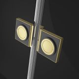 RADAWAY ESSENZA PRO GOLD PDD 100cm ľavé dvere do kombinácie / sprchový kút štvrťkruhový, profil zlatý, sklo číre, 10095100-09-01L