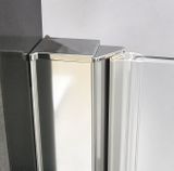 ROTH ELEGANT NEO LINE GDO1N 110cm dvere do niky alebo do kombinácie / sprchový kút rohový, profil brillant, sklo číre, 188-1100000-00-02