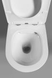 SAPHO PACO 53cm WC závesné RIMLESS, biele, PZ1012WR