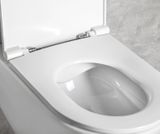 SAPHO INFINITY 53cm RIMLESS WC závesné, biele, 10NF02001