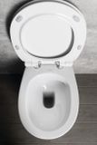 SAPHO SENTIMENTI 52cm WC stojace, zadný/spodný odpad, biele, 10SM10004SV