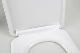 SAPHO LENA WC sedadlo &quot;D&quot; antibakteriálne, soft close, duroplast, biele, 1703-113